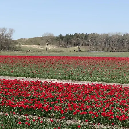 La Vida Egmond aan Zee