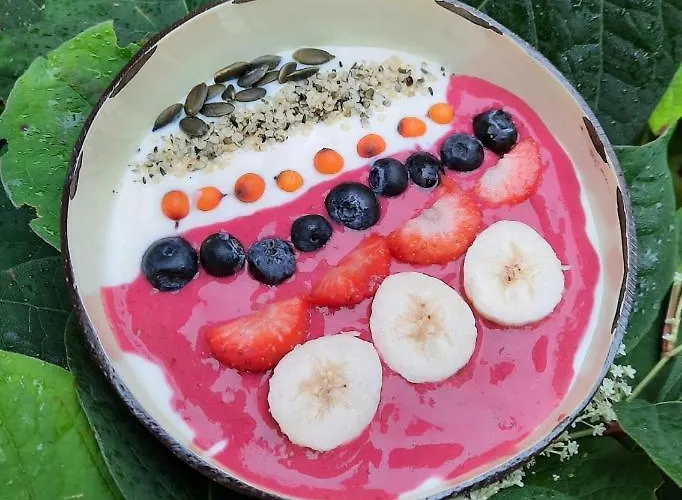 La Vida 住宿加早餐酒店