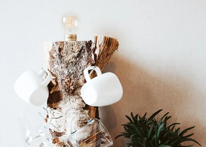 Panzió La Vida Egmond aan Zee