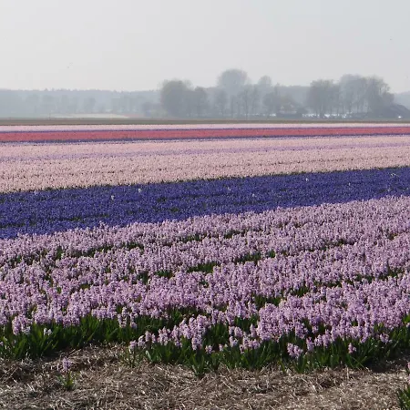 La Vida Bed & Breakfast 3*