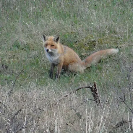 La Vida Egmond aan Zee