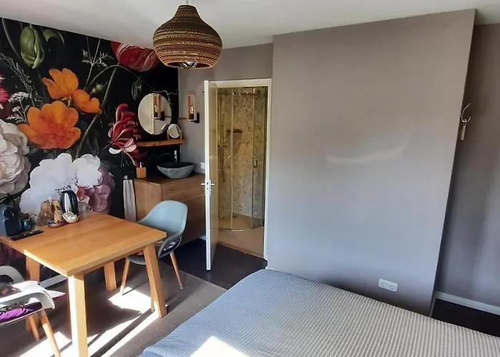 Bed & Breakfast La Vida Egmond aan Zee