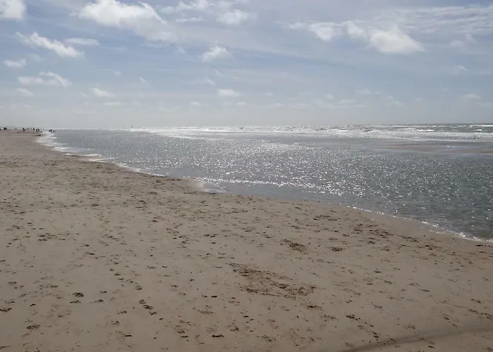 La Vida Bed & Breakfast 3*